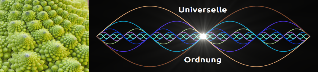 Universelle Ordnung